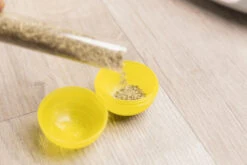 Trixie Jeu Pour Chat Ball Race & Scratch Ø 37cm -Chats Et Chiens Fournitures 02e67a4b0827a7c9ec69a17d5ee114f0da3b91bf340d52966099554ef3dd9f23