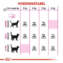 Royal Canin Protein Exigent Pour Chat 4kg -Chats Et Chiens Fournitures 0940f9380e24fd6977e0166039f34726c27c9abe12319f295b4029f84f5c8e3e