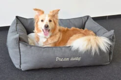 Flamingo Panier Dream Away Rectangulaire Fermeture Eclair Gris 90x70x35cm -Chats Et Chiens Fournitures 1c1569e5e3e189c3266e2e6aa007c597f0e2b3dc6812c01616819327dbd8060d