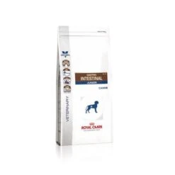 Royal Canin Gastro Intestinal Puppy Chien -Chats Et Chiens Fournitures 2021057f81646d34e3b010d54900eb0e0515a48b16324bcd167c9899ff88a88b