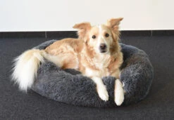 Flamingo Panier Krems Rond Gris 70cm -Chats Et Chiens Fournitures 2b35af8c6265e8517b23a60a9a122e1b2f4b50f5a9c25a7daa9e2d5118cff5a5