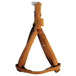 Harnais Mac Leather Beige -Chats Et Chiens Fournitures 313a223687fac8ef4cb95dee3568ad40a4f7da1bfb31a70a8e6da4b4ad9eb9d5