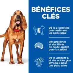 Hill's Science Plan Mature Adult Light Croquettes Pour Chien Sénior Medium Au Poulet - 14Kg -Chats Et Chiens Fournitures 52742026169 3 science plan light chien g medium croquettes poulet