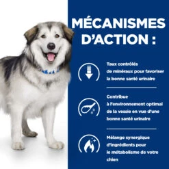 Hill's Prescription Diet C/d Multicare + Metabolic Croquettes Pour Chien -Chats Et Chiens Fournitures 52742037394 5 prescription diet chien c d multicare metabolic croquettes