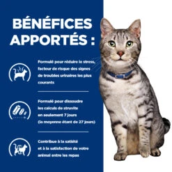 Hill's Prescription Diet C/D Urinay Stress + Metabolic Croquettes Pour Chat Au Poulet -Chats Et Chiens Fournitures 52742037417 4 prescription diet chat urinary stress metabolic croquettes