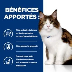 Hill's Prescription Diet W/D Multi Benefit Croquettes Et Boîtes Pour Chat Au Poulet -Chats Et Chiens Fournitures 52742042251 4 prescription diet chat w d croquettes poulet