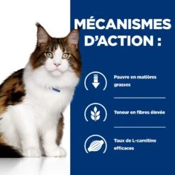 Hill's Prescription Diet W/D Multi Benefit Croquettes Et Boîtes Pour Chat Au Poulet -Chats Et Chiens Fournitures 52742042251 5 prescription diet chat w d croquettes poulet