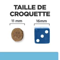 Hill's Prescription Diet K/D Early Stage Croquettes Pour Chien Au Poulet -Chats Et Chiens Fournitures 52742042374 6 prescription diet chien k d early stage croquettes poulet