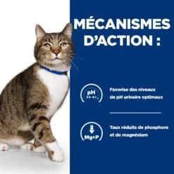 Hill's Prescription Diet S/D Urinary Croquettes Pour Chat Au Poulet -Chats Et Chiens Fournitures 52742042473 4 prescription diet chat s d croquettes poulet