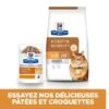 Hill's Prescription Diet K/D + Mobility Croquettes Pour Chat Au Poulet