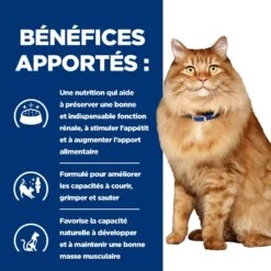 Hill's Prescription Diet K/D + Mobility Croquettes Pour Chat Au Poulet -Chats Et Chiens Fournitures 52742044767 4 prescription diet chat k d mobility croquettes poulet
