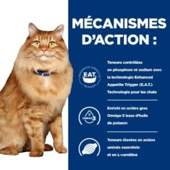 Hill's Prescription Diet K/D + Mobility Croquettes Pour Chat Au Poulet -Chats Et Chiens Fournitures 52742044767 5 prescription diet chat k d mobility croquettes poulet
