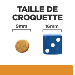 Hill's Prescription Diet K/D + Mobility Croquettes Pour Chat Au Poulet -Chats Et Chiens Fournitures 52742044767 6 prescription diet chat k d mobility croquettes poulet