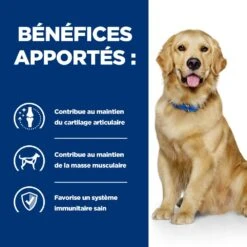 Hill's Prescription Diet J/D Mobility Croquettes Pour Chien Au Poulet -Chats Et Chiens Fournitures 52742045740 4 prescription diet chien j d croquettes poulet