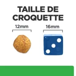 Hill's Prescription Diet R/D Croquettes Pour Chien Au Poulet -Chats Et Chiens Fournitures 52742047256 5 prescription diet chien r d croquettes poulet