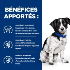 Hill's Prescription Diet I/D Stress Digestive Mini Pour Petit Chien Au Poulet -Chats Et Chiens Fournitures 52742048123 4 prescription diet chien i d stress mini croquettes