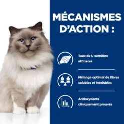 Hill's Prescription Diet R/D Weight Loss Pour Chat Au Poulet -Chats Et Chiens Fournitures 52742048185 4 prescription diet chat r d croquettes poulet
