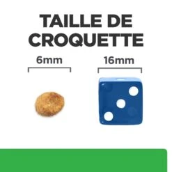 Hill's Prescription Diet R/D Weight Loss Pour Chat Au Poulet -Chats Et Chiens Fournitures 52742048185 5 prescription diet chat r d croquettes poulet