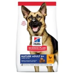 Hill's Science Plan Mature Adult Croquettes Pour Grand Chien Sénior Au Poulet -Chats Et Chiens Fournitures 527421830088 1 science plan chien g large croquettes poulet