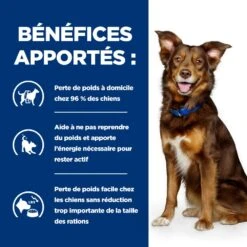 Hill's Prescription Diet Metabolic Pour Chien -Chats Et Chiens Fournitures 52742209906 4 prescription diet chien metabolic croquettes poulet