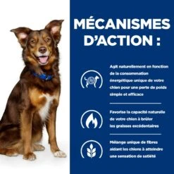 Hill's Prescription Diet Metabolic Pour Chien -Chats Et Chiens Fournitures 52742209906 5 prescription diet chien metabolic croquettes poulet