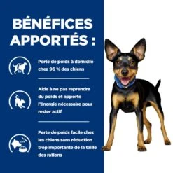 Hill's Prescription Diet Metabolic Croquettes Pour Petit Chien Au Poulet -Chats Et Chiens Fournitures 52742335414 4 prescription diet chien metabolic mini croquettes poulet