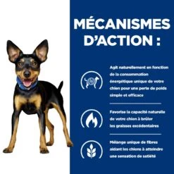Hill's Prescription Diet Metabolic Croquettes Pour Petit Chien Au Poulet -Chats Et Chiens Fournitures 52742335414 5 prescription diet chien metabolic mini croquettes poulet