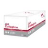 Art-Collagène 60 Sachets