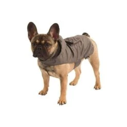 KERBL Manteau Seattle 7 KERBL Manteau Seattle -Chats Et Chiens Fournitures 5861950a8a4676f4823abe1c47a15a1dd84591fe6944b0060a02cd08a7fd0e62