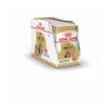 Royal Canin Shih Tzu 12x 85g