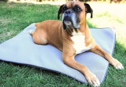 Meilleures ventes -Chats Et Chiens Fournitures 638baae81eb1e1760e928973f328af13c93fa40d74fa34b96d53b09ed3adbfed