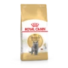 Royal Canin British Shorthair Pour Chat 10kg