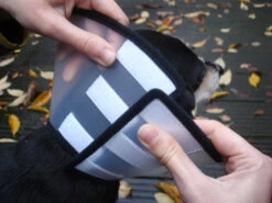 Flamingo Carcan Capo 38,5cm -Chats Et Chiens Fournitures 6a49ce8ac076c3841c6f50f7e51b24655faca046434a3c86371644c1769f8e05