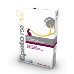 ICF EPATO -Chats Et Chiens Fournitures 6f7674e426668f82685472f5476e1198a9598af60c180b60006bc494be44a833