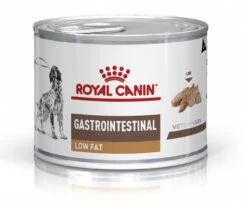Royal Canin Gastro Intestinal Low Fat Chien -Chats Et Chiens Fournitures 71a62bc0b244a0a5cb4975f3ca4307921465dd9c5d4b77c304b9e5cad2f1a2bb