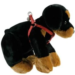 Harnais Mac Leather Rouge -Chats Et Chiens Fournitures 7fa2cc7bf2ad1ec1024d597f2fed499ec47bba7c76aba5ba669bf832ee56475f