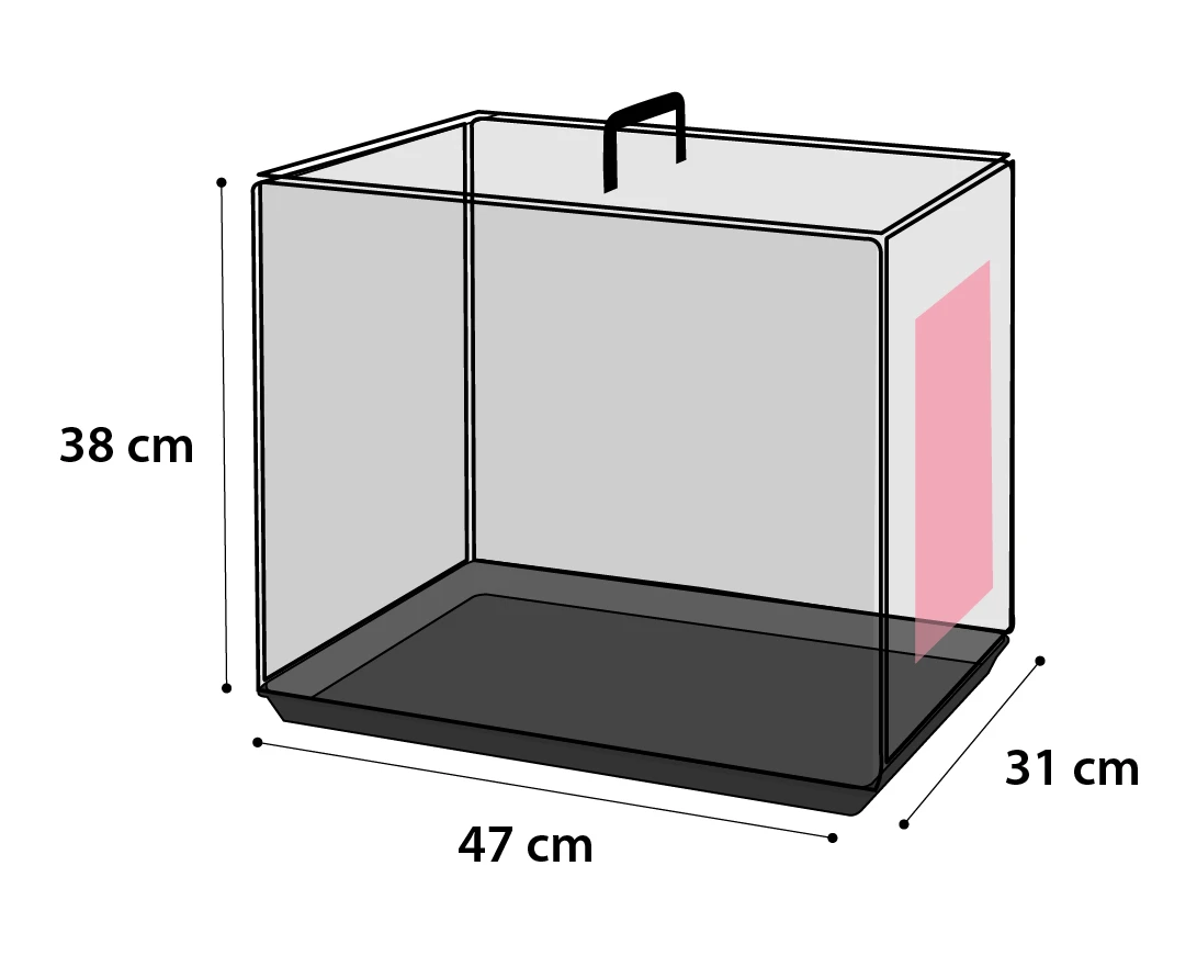Flamingo Cage Pour Chien Ebo Noir Xs 47x31x38cm 3 Flamingo Cage Pour Chien Ebo Noir Xs 47x31x38cm – Image 3