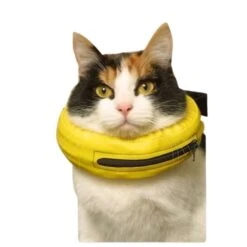 Collier Lune -Chats Et Chiens Fournitures 86eaa3c4e19da65cd3ccf16b9b644242d1ea36ae29fd6c84734ea4df7c7f1d52 1