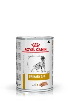 Royal Canin Urinary Chien -Chats Et Chiens Fournitures 89c8e96733913d1cf4d65a2ff404acfc4b0ad3fb86f77a43913e1d838ffd4824