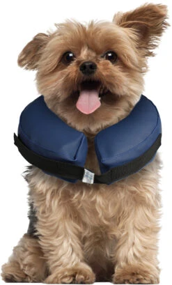 Flamingo Collier Gonflable Pour Chiens Gofi Xs -Chats Et Chiens Fournitures 91c7e2540c51d376ee330bcd170be2dab27a83c045c0d7076ffa4ded7c6dc45c