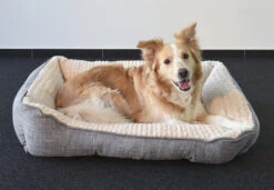 Flamingo Panier Pour Chien Zupo Rectangulaire Gris 90x65x25cm 7 Flamingo Panier Pour Chien Zupo Rectangulaire Gris 90x65x25cm -Chats Et Chiens Fournitures 99b8da2ca52e00418c6ee1afd6b8fb3f19b4e81818d430d62e4894bfcde106db