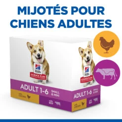 HILL'S SCIENCE PLAN HEALTHY CUISINE MIJOTÉS POUR CHIEN ADULTE SMALL & MINI AU POULET ET AU BŒUF 12X80G -Chats Et Chiens Fournitures Hill s science plan chien adult healthy cuisine mijotes sachet repas poulet boeuf 12x80g 1 FR