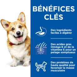 HILL'S SCIENCE PLAN HEALTHY CUISINE MIJOTÉS POUR CHIEN ADULTE SMALL & MINI AU POULET ET AU BŒUF 12X80G -Chats Et Chiens Fournitures Hill s science plan chien adult healthy cuisine mijotes sachet repas poulet boeuf 12x80g 8 FR