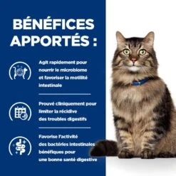 HILL'S PRESCRIPTION DIET GASTROINTESTINAL BIOME SACHETS REPAS POUR CHAT POULET 12X85G -Chats Et Chiens Fournitures Hills prescription diet chat gastrointestinal biome sachets repas poulet 3 FR