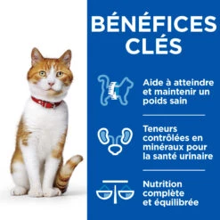 HILL'S SCIENCE PLAN HEALTHY CUISINE MIJOTÉS POUR CHAT ADULTE STÉRILISÉ AU POULET ET AU SAUMON 12X80G -Chats Et Chiens Fournitures Hills science plan chat adult sterilised cat healthy cuisine mijotes sachet repas poulet saumon 12x80g 8 FR