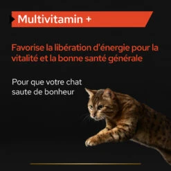 Purina PRO PLAN MULTIVITAMINS+ CHAT ALIMENT COMPLEMENTAIRE - 60G -Chats Et Chiens Fournitures PRO PLAN MULTIVITAMINS CAT SUPPLEMENT 60G 5 FR