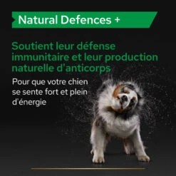 Purina PRO PLAN NATURAL DEFENSES+ CHIEN ALIMENT COMPLEMENTAIRE - 67G -Chats Et Chiens Fournitures PRO PLAN NATURAL DEFENCES DOG SUPPLEMENT 67G 5 FR