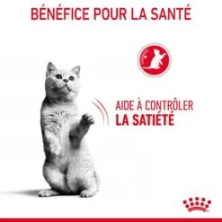 Royal Canin Appetite Control Pour Chat 2kg -Chats Et Chiens Fournitures Royal Canin Appetite Control Care Chat FR 07