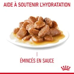 Royal Canin Appetite Control En Sauce Pour Chat 12 Sachets De 85g -Chats Et Chiens Fournitures Royal Canin Appetite Control Care Gravy Chat FR 07