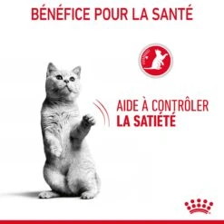 Royal Canin Appetite Control En Sauce Pour Chat 12 Sachets De 85g -Chats Et Chiens Fournitures Royal Canin Appetite Control Care Gravy Chat FR 08